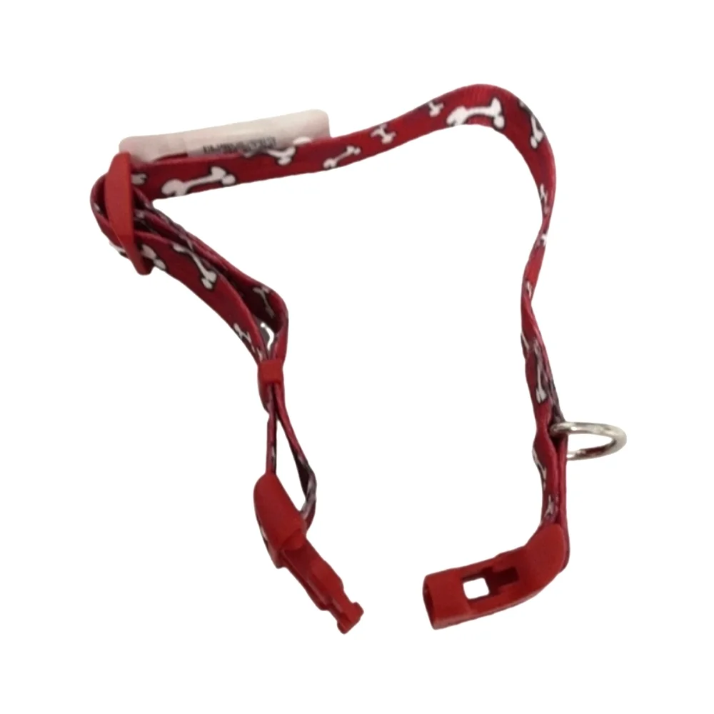 New Dog Collar and Leash Set
